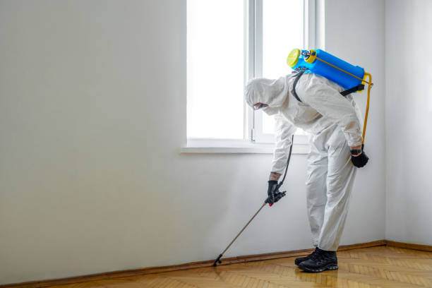Wildlife Control Services in Southern Gateway, VA